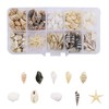 220+ Mixed Sea Shells Starfish for Crafts, DIY Decorations, Beach