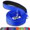 Joytale Padded Handle Dog Lead,Double-Sided Reflective Nylon Dogs Leads for