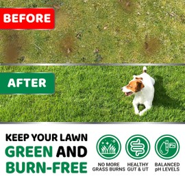 YUMA'S Dog Urine Neutralizer for Lawn - 170 Chews - Advanced Grass Green Savers for Dog Urine - Canine Pee Grass Neutralizer Supplement - Green Lawn Treats with Probiotics and Digestive Enzymes