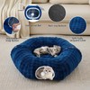 Yaning Bubble Cat Tunnel for Indoor Cats, Round Peekaboo Cave