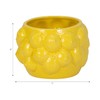 Sagebrook Home Unique Decorative Ceramic Planter for Indoor Greenery