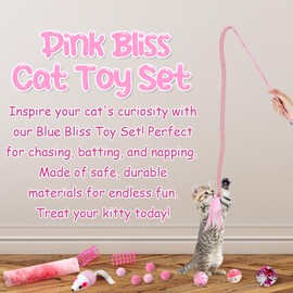 Foilswirl 24 Pcs Cat Toys Set Interactive Kitten Toys Pack Including Collapsible Play Tunnel Feather Teaser Wand Fuzzy Ball Springs Pillow Mouse Bells for Indoor Cats Puppy (Pink)