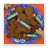 Crazy Rumors Gingerbread Lip Balm. 100% Natural, Vegan, Plant-Based, Made