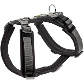 Hunter Maldon Y-Shape Soft Padded Harness for Sports, xs-s