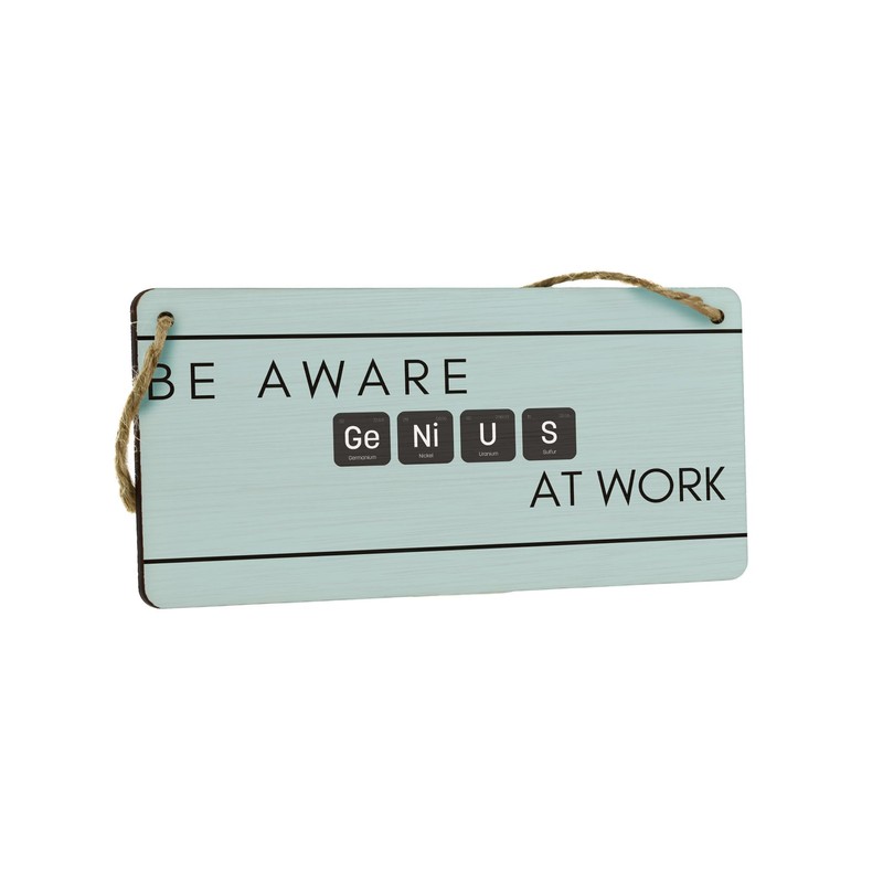 Genius at Work: Funny Full Colour Hanging Plywood Sign -