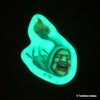 AWorks Kobitozukan Phosphorescent Sticker Oophurekawakobito KBT-054