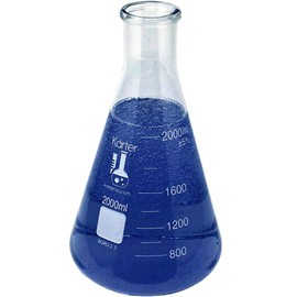 2000ml Narrow Mouth Erlenmeyer Flask with Rubber Stopper, 3.3 Borosilicate Glass, Karter Scientific (Single)