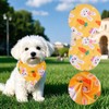hoyuwak 2 Pack Dog Easter Bandanas Easter Dog Scarf Cute