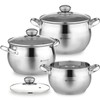 Daniks Classic 6-Piece Stainless Steel Induction Cookware Set – Dishwasher