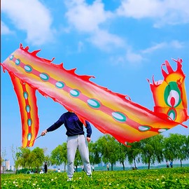 Square Exercise Dance Outdoor Flinging Fitness Dragon POI Wu Long 3D Real-Like Dragon Ribbon Streamer Set (19.6ft, Fire Phoenix)