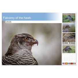 Falconry of the hawk (Monthly Wall Calendar 2025 11.7" x 16.5" (open)), CALVENDO 14 Month Calendar