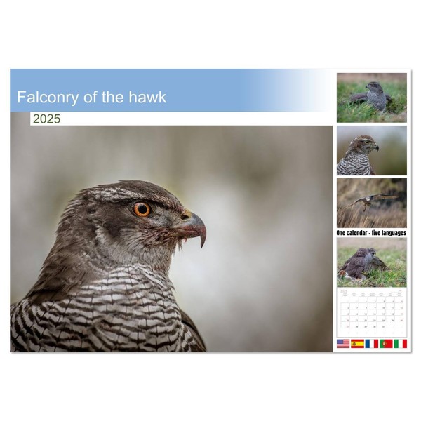 Falconry of the hawk (Monthly Wall Calendar 2025 11.7" x