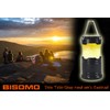 Outdoor Camping Lantern, Flame Effect or White Light, Diameter 87