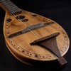 Mandolin Bridge Replacement Mandolin Bridge for Tone Adjustment Stringed Instrument