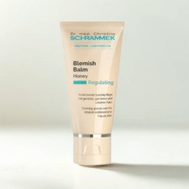 Anjumain Dr. Schrammek Original Schrammek Blemish Balm BB Cream Honey × 40ml × 1 / 닥터슈라멕 오리지널 슈라멕 블레미쉬 밤 BB크림 허니 × 40ml × 1개