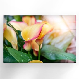 Myphotostation Orange Calla Lily Wall Art Tempered Glass Wall Art 20Hx14HW' Floral Wall Art Decor Glass Printing Large Wall Art for Living Room Calla Wall Decor Flower Calla Wall Art