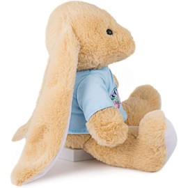 Oukiwi Easter Bunny Rabbit Stuffed Animal Plush Toy 10 inches Best Gifts for Babies Kids Boys Girls (Blue)