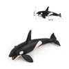 Neko Kamiyama Killer Whale Type 1 Sea Life Figure, Miniature,