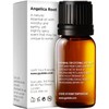 Gya Labs Angelica Root Essential Oil for Diffuser - 0.34