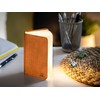 Gingko Mini Harmony Orange Linen Smart Booklight