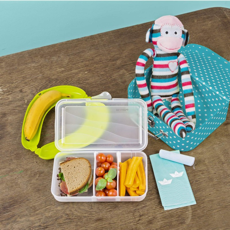 Rotho Fun Lunch Box with Removable Divider Plastic (BPA Free)