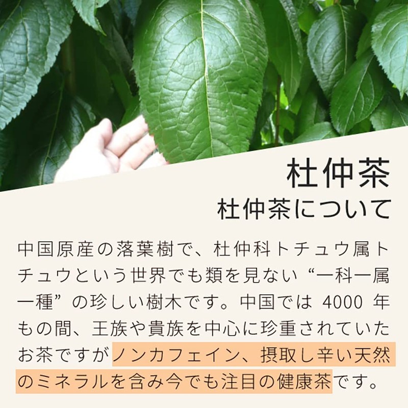 nichie Moru Cha Tea, Made in Japan, 0.1 oz (3