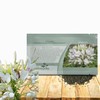 Outsidepride White Cleome Seeds - 1000 Pcs Annual Flower Seeds