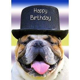 Bulldog Birthday Card