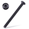 1/4-20 x 3-1/2" Black Hex Socket Head Cap Screws, 304