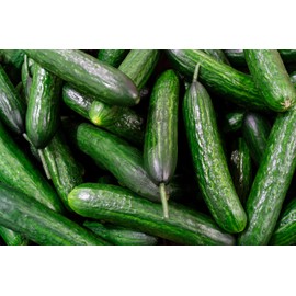 Crisp and Sweet “Beit Alpha” Cucumber Seeds – Harvest-Ready in Just 60 Days – Heirloom Seeds | Liliana's Garden |