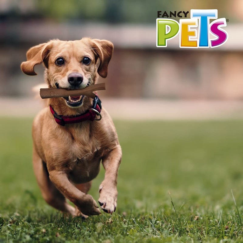 Fancy Pets Rama Bambú Plus Juguete para Morder Sabor Carne