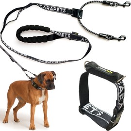 Reflective Dog Leash and Collar – Double Anchor with Pulley Effect – Adjustable in 4 Sizes – Prevents Choking and Distributes Pressure – Safety and Control for Walking and Training – ACARAPETS (M)
