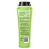 Schwarzkopf Extra Care Push Up Volume Shampoo 400ml