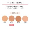 Shiseido S101 Spots Cover Foundation (Base Color) Base Color (Overall)