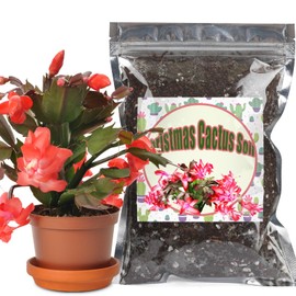 Doter Christmas Cactus Potting Soil Mix 2qt, Ideal for Succulents, Christmas Cacti, and Other Indoor Potted Plantings