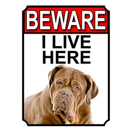 BEWARE I LIVE HERE METAL GATE SIGN DOGUE DE BORDEAUX 200MM X 10MM (1063H1)