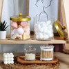 SheeChung 4 Pack 50 Ounce Large Clear Apothecary Jar with