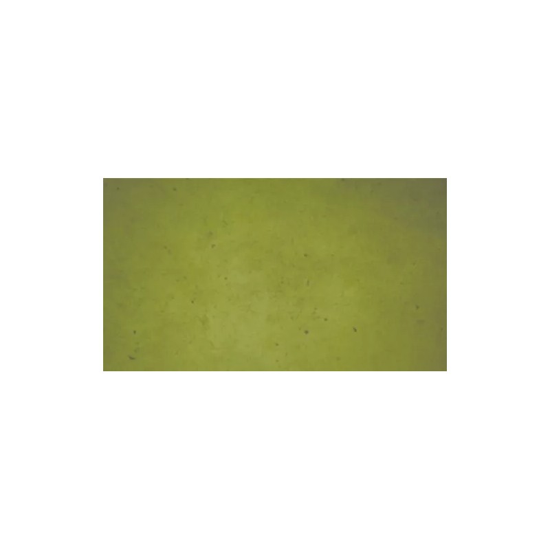 Concrete Resurrection Fast Drying Concrete Stain-Professi