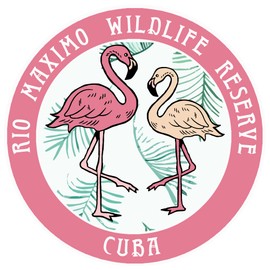 Blue Heron Flamingos Rio Maximo Wildlife Reserve Car Truck Window Bumper Sticker Decal - Pink