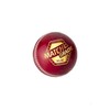 DSC Match Grade Cricket Leather Ball (Red)