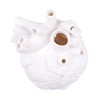 Creative Anatomical Heart Vases Resin Sculpture Heart Shaped Art Flower