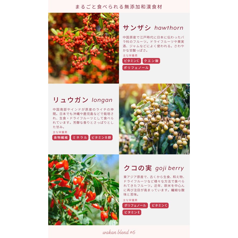 Labatee ラバティー 食べる和漢ほうじ茶ラテ 乳酸菌入 漢方茶 薬膳茶 健康茶 黒豆茶 フルーツティー はとむぎ茶