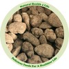 Natural Health 4 Life Caramelised Cocoa Raspberry Almond Nuts 300