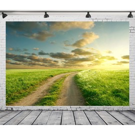 Loccor Fabric 9x6ft Sky Backdrop Summer Landscape Green Grass Road Clouds Photography Background Nature View Outdoor Activity Kids Birthday Decorations Photo Videos Portrait Studio Props Tapestry