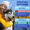 TECEUM Reflective Dog Collar – Navy Blue – M –