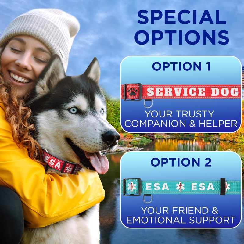 TECEUM Reflective Dog Collar – Navy Blue – M –