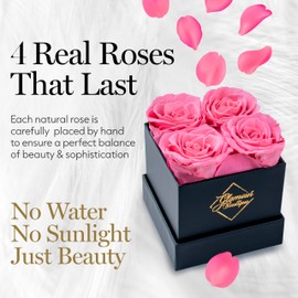 GLAMOUR BOUTIQUE Preserved Roses in a Box - Valentines Day Gifts for Her & Mom, 4 Roses Flowers Decor for Birthday Gift, Cased in A Square Gift Box with Lid, 4” x4” x5 - Pink
