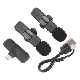 Professional Wireless Lapel Microphone ABS 2 in 1 Reverb Function Lapel Clip On Microphone for Smartphone Laptop Type C