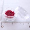 Dried Flower Lace Pressed Flowers 60 Pieces Resin Art or