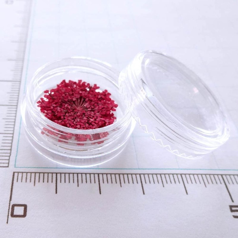 Dried Flower Lace Pressed Flowers 60 Pieces Resin Art or